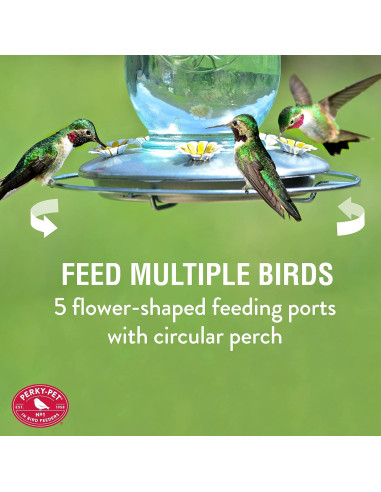 Alimentador de Colibríes Perky-Pet 785 Tarro Mason 0,95L