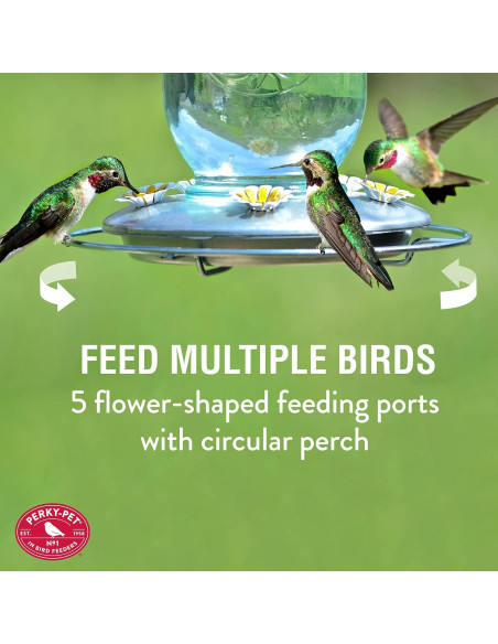 Alimentador de Colibríes Perky-Pet 785 Tarro Mason 0,95L