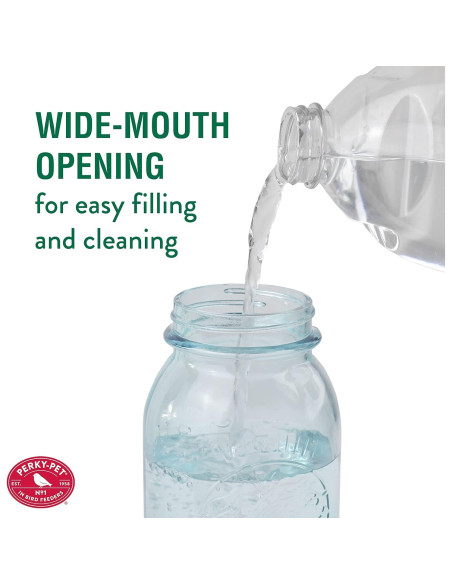 Alimentador de Colibríes Perky-Pet 785 Tarro Mason 0,95L