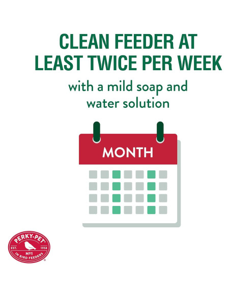 Alimentador de Colibríes Perky-Pet 785 Tarro Mason 0,95L