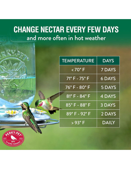Alimentador de Colibríes Perky-Pet 785 Tarro Mason 0,95L