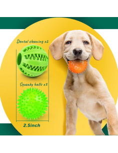 Pelotas Interactivas para Perros PUPTILY 5 Pcs 6.35 cm 2