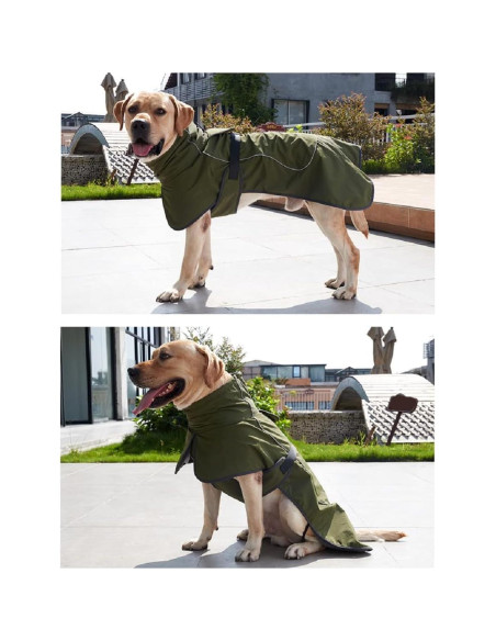 Abrigo Impermeable para Perros ODSSDAPU Verde XS