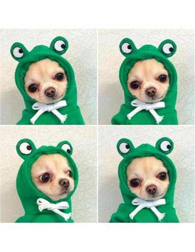 Abrigo para Perro Maruomiki Verde XS con Capucha