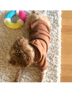 Sudadera Jecikelon Invierno Perros Pequeños Capucha Café 2