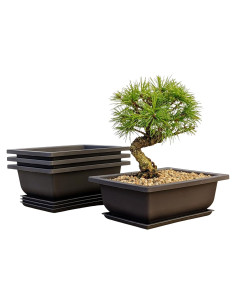 Macetas Bonsai Outlet 6" con Bandejas - Juego de 3