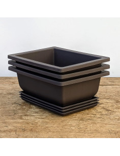 Macetas Bonsai Outlet 6" con Bandejas - Juego de 3 2