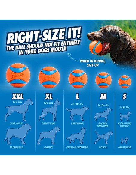 Chuckit! Ultra Ball Juguete para Perros Mediano Paquete de 8 Chuckit! Ultra Ball Juguete para Perros Mediano Paquete de 8