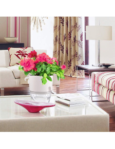 Juego de macetas autorriego JFMAMJ 5 paquetes 15.24 cm 2