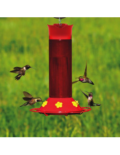 Alimentador de Colibríes Perky-Pet 30 oz Rojo con Estanque de Hormigas 2