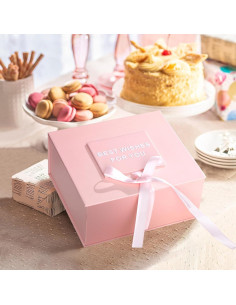 Mini Máquina de Karaoke Niskite con 2 Micrófonos Inalámbricos 2