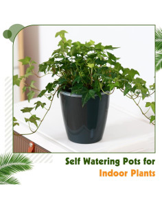 Macetas Autorriego KvyusFlourish 12.7cm Paquete de 6 Negro 2