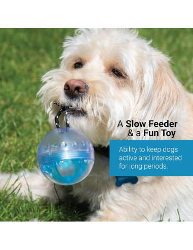 Pelota de Actividad SVD.PET para Perros y Gatos - Verde