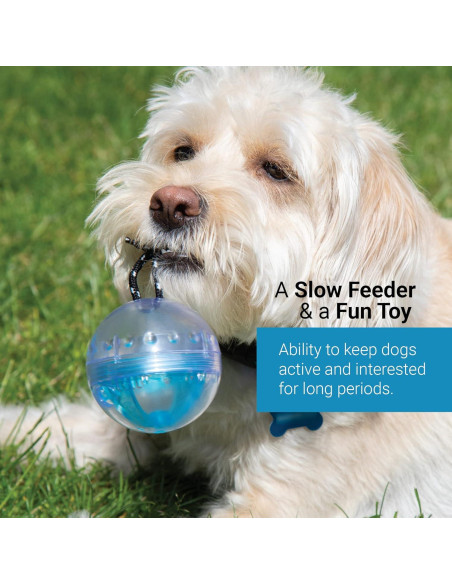 Pelota de Actividad SVD.PET para Perros y Gatos - Verde