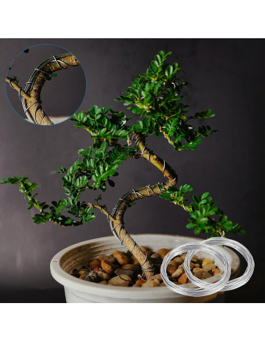 PATIKIL Alambre de Bonsai 2.5mm x 10m Negro Anodizado