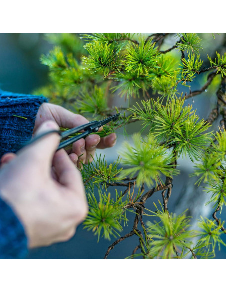PATIKIL Alambre de Bonsai 2.5mm x 10m Negro Anodizado