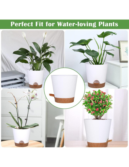 Paquete de 5 Macetas Autorriego Mckanti 15 cm Blancas