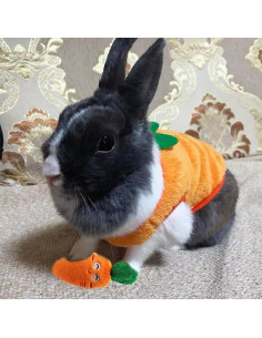 Conjunto Suéter para Perro ANIAC XS + Juguete Zanahoria 2