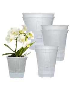 Juego de macetas autorriego Cdd's Path 6 piezas 12,7-17,8 cm