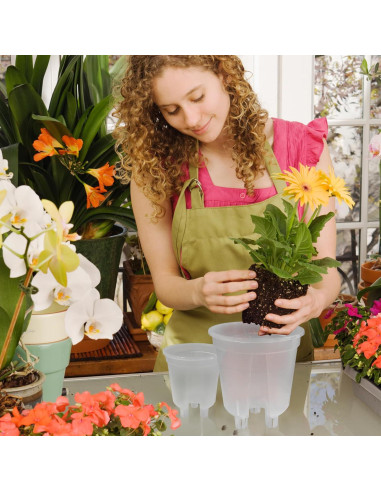 Juego de macetas autorriego Cdd's Path 6 piezas 12,7-17,8 cm