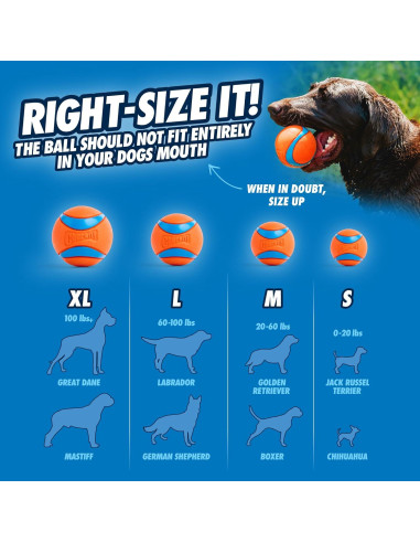 Pelotas Chuckit! Medley Fetch - Set de 3 para Perros