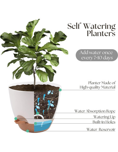 Juego de 3 Macetas Autorriego TYMENSH 30,48/25,4/22,86 cm