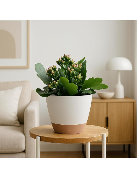 Juego de 3 Macetas Autorriego TYMENSH 30,48/25,4/22,86 cm Juego de 3 Macetas Autorriego TYMENSH 30,48/25,4/22,86 cm