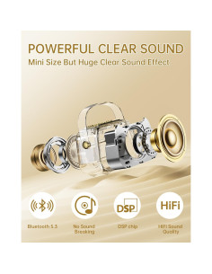 Karaoke Mini EAIHW con 2 Micrófonos Inalámbricos y LED 2