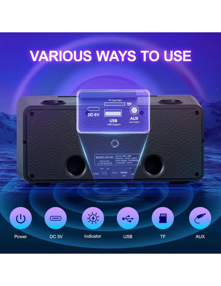 Karaoke Portátil MusyVocay NT001 con 2 Micrófonos y LED