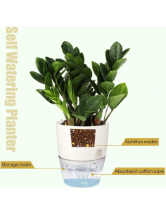 Macetas Autorriego Vanavazon 15 cm Paquete de 3 para Plantas 2