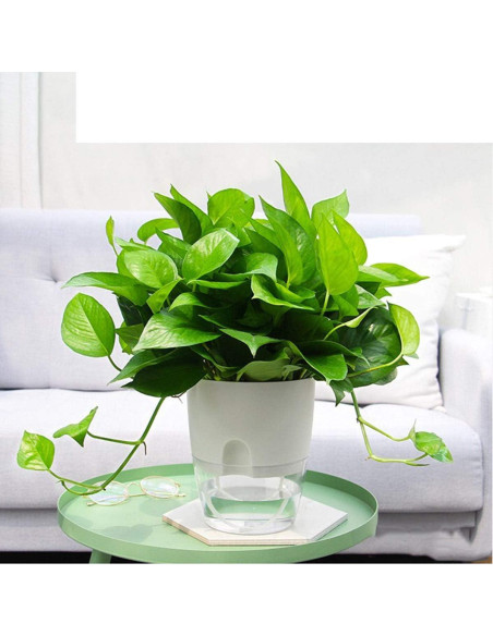 Macetas Autorriego Vanavazon 15 cm Paquete de 3 para Plantas