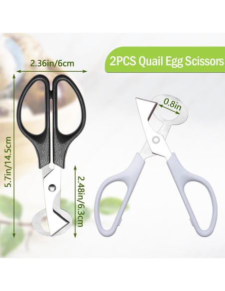 Cortador de Huevos de Codorniz Risprsulen Acero Inoxidable