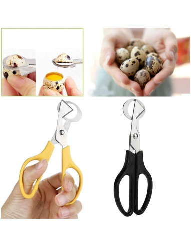 Cortador de Huevos de Codorniz Risprsulen Acero Inoxidable