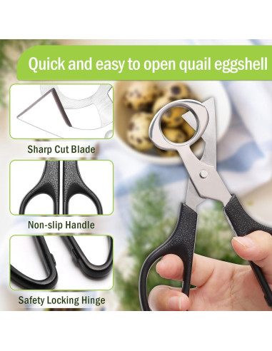 Cortador de Huevos de Codorniz Risprsulen Acero Inoxidable