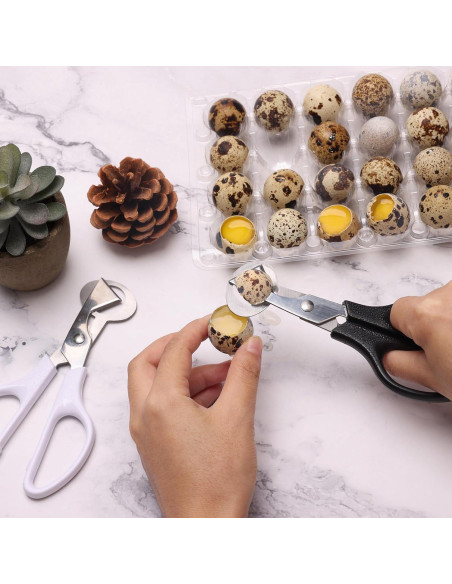 Cortador de Huevos de Codorniz Risprsulen Acero Inoxidable