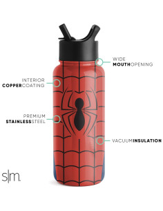 Botella de Agua Simple Modern Spider-Man 0.95L Aislada 2