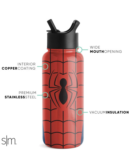 Botella de Agua Simple Modern Spider-Man 0.95L Aislada