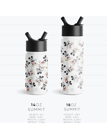 Botella de Agua Simple Modern 14oz Disney Frozen Rojo