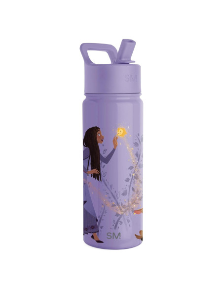 Botella de Agua Simple Modern Disney Wish 18oz Aislada
