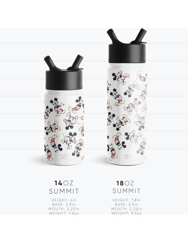 Botella de Agua Simple Modern Disney Wish 18oz Aislada