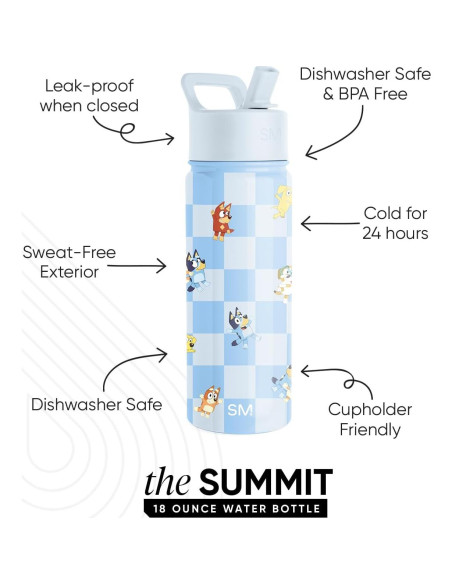 Botella de Agua Aislada Simple Modern 530ml Tapa Popote