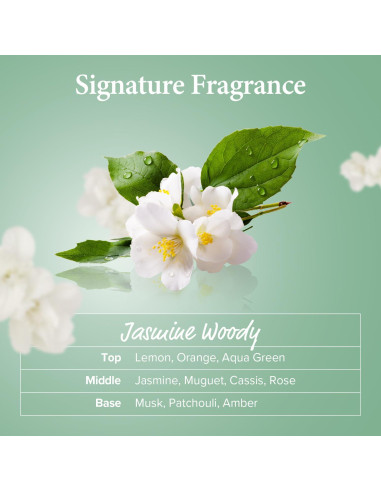 Champú KUNDAL Árbol de Té y Macadamia 300 ml - Paquete de 2