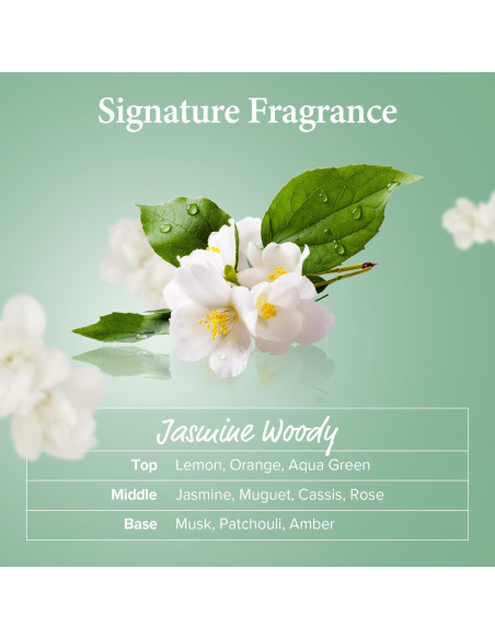 Champú KUNDAL Árbol de Té y Macadamia 300 ml - Paquete de 2