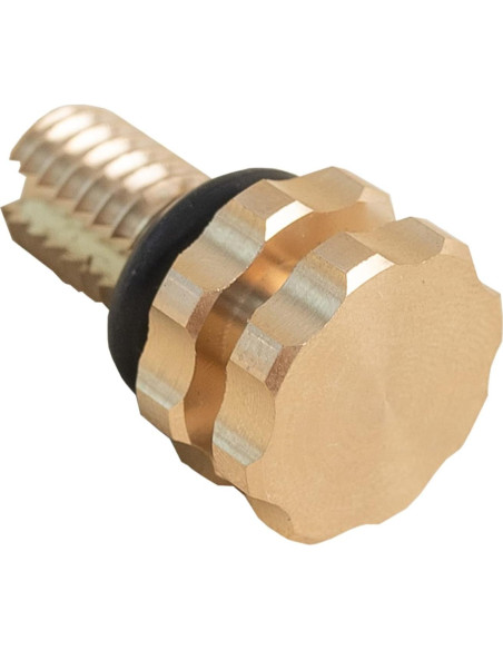 Válvula de Alivio de Aire Zeiboat ECX1322A para Filtro de Piscina