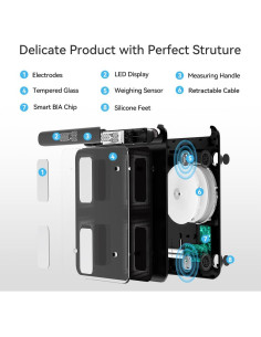 Báscula de Grasa Corporal Inteligente Fitdays FG2202WB-BLACK 2