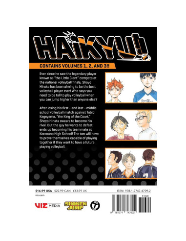 Haikyu!! (3-in-1 Edition), Vol. 1: Includes vols. 1, 2 & 3 (1)
