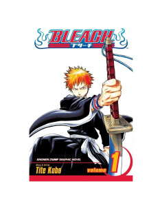 Bleach, Vol. 1