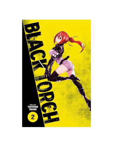 Black Torch, Vol. 2 (2)