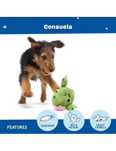 Juguete Interactivo para Perros Barkbox Consuela Cactus Pequeño