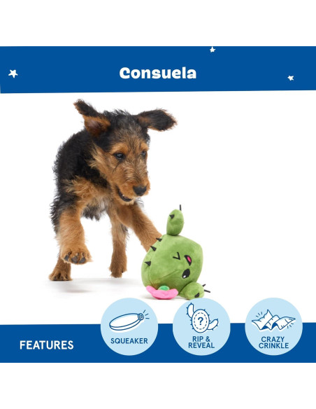 Juguete Interactivo para Perros Barkbox Consuela Cactus Pequeño